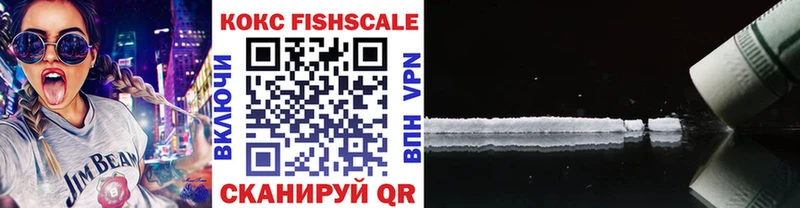COCAIN Fish Scale  хочу   Тулун 