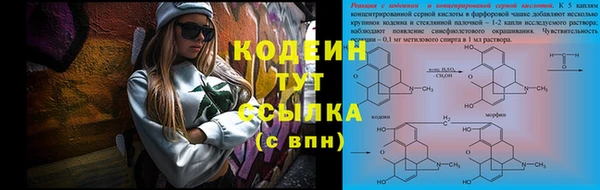 ГАЛЛЮЦИНОГЕННЫЕ ГРИБЫ Няндома